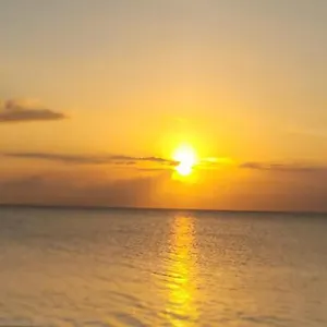Apartahotel Airport, Montego Bay