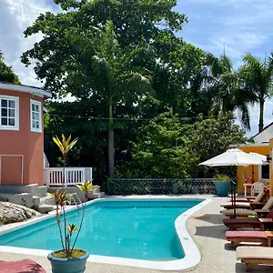  Bed & Breakfast The Blue Orchid